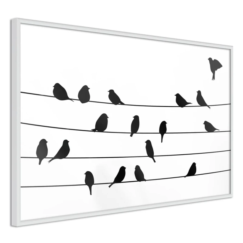 Plakat - Posiedzenie ptasiej rady