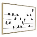 Plakat - Posiedzenie ptasiej rady