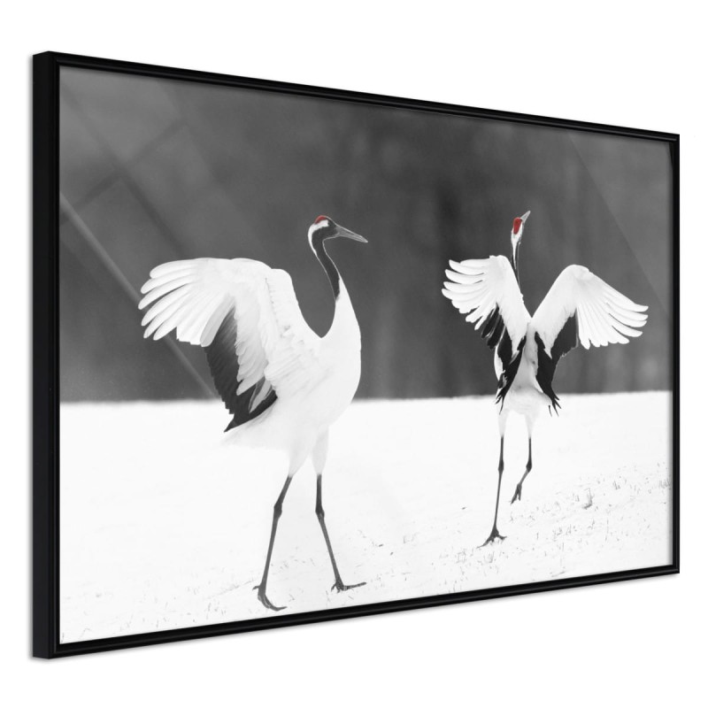 Plakat - Ptasia randka