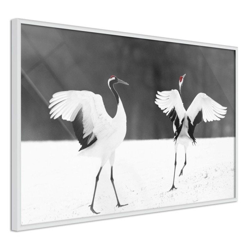 Plakat - Ptasia randka