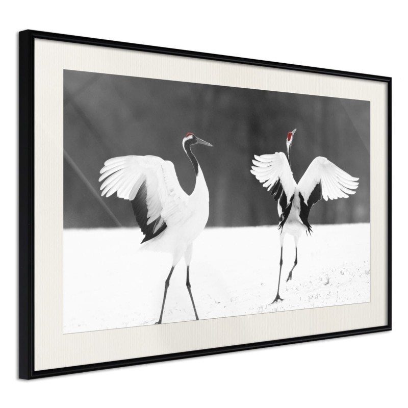 Plakat - Ptasia randka