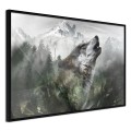 Plakat - Wilcze terytorium