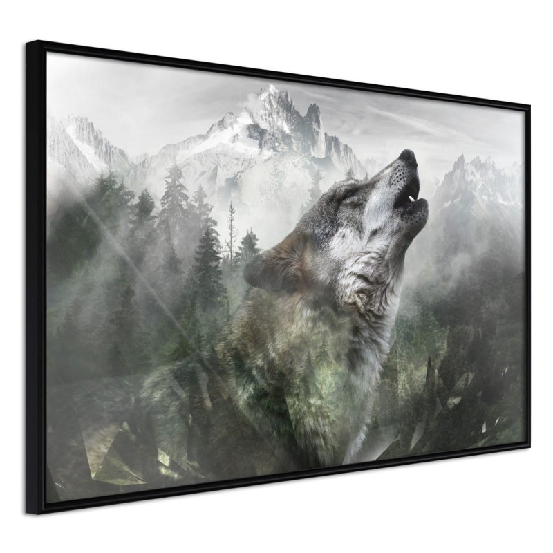 Plakat - Wilcze terytorium