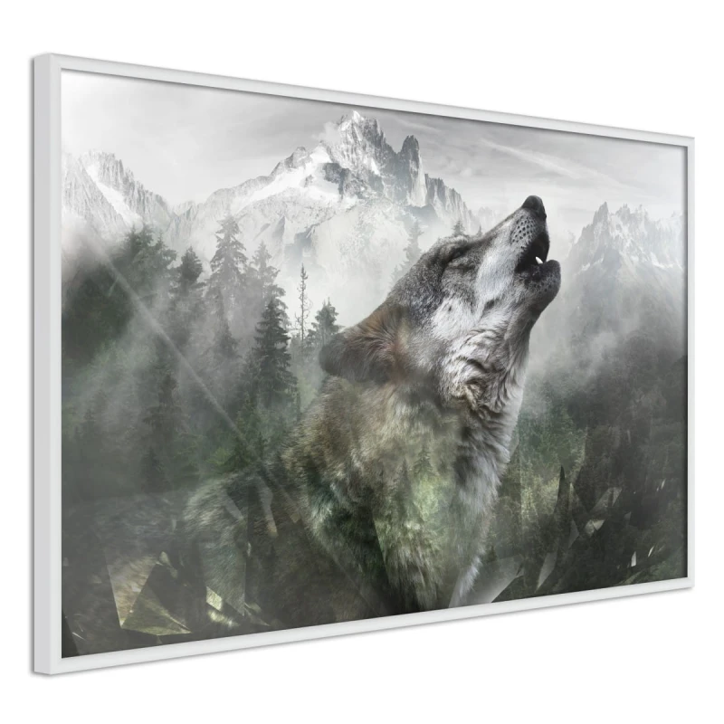 Plakat - Wilcze terytorium