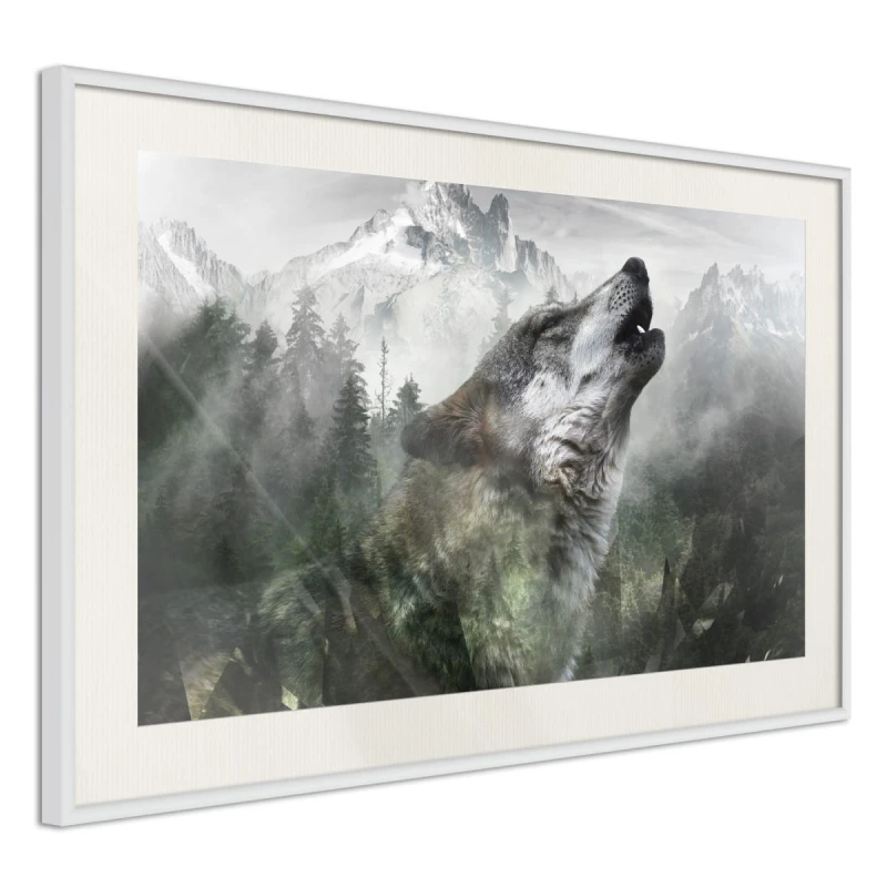 Plakat - Wilcze terytorium