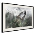 Plakat - Wilcze terytorium