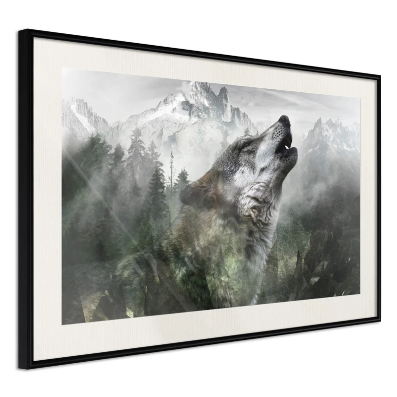 Plakat - Wilcze terytorium