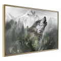 Plakat - Wilcze terytorium