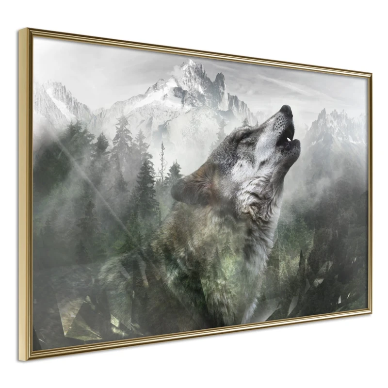 Plakat - Wilcze terytorium
