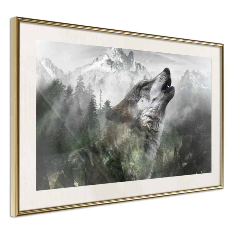 Plakat - Wilcze terytorium