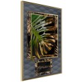 Plakat - Monstera w ramce