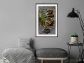 Plakat - Monstera w ramce