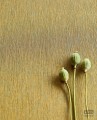 Monochromatyczna tapeta z florystycznym motywem