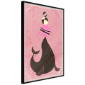 Plakat - Cyrkowa foka