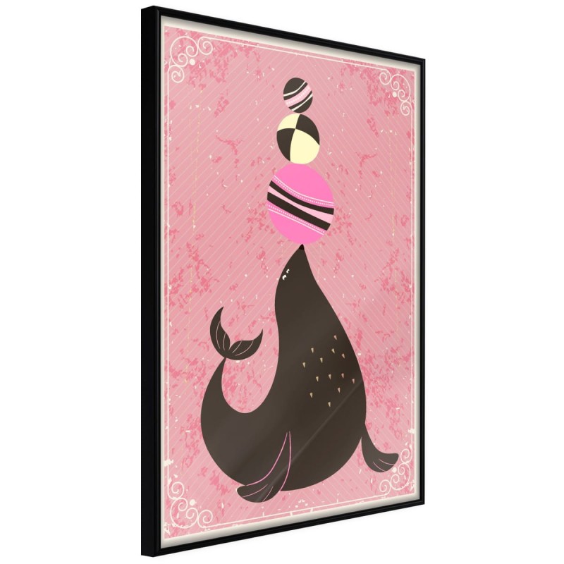 Plakat - Cyrkowa foka