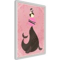 Plakat - Cyrkowa foka