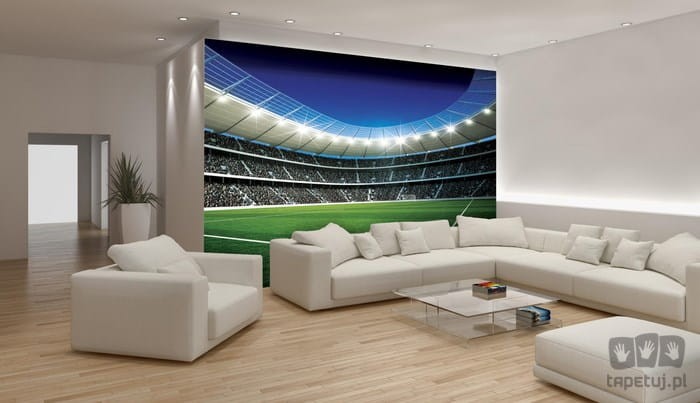 Fototapeta  STADION 324