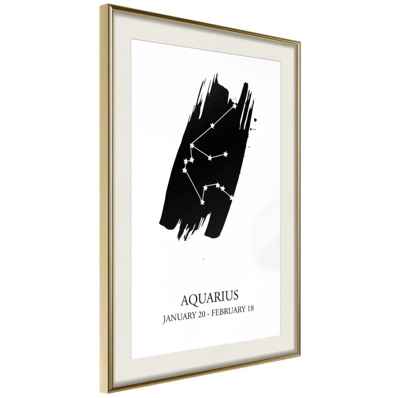 Plakat - Zodiak: Wodnik I