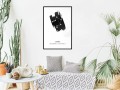 Plakat - Zodiak: Waga I