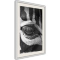 Plakat - Zebra Cię obserwuje