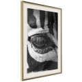 Plakat - Zebra Cię obserwuje