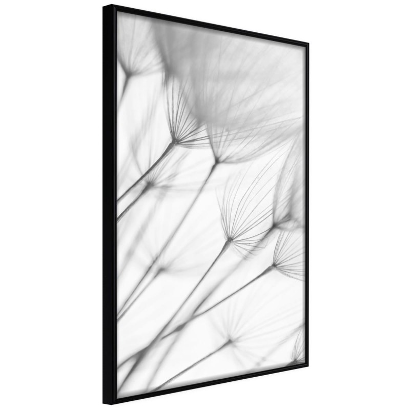 Plakat - Delikatny podmuch