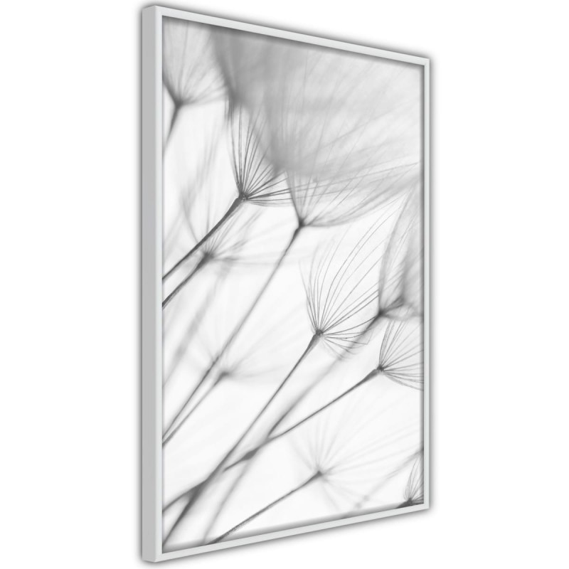 Plakat - Delikatny podmuch