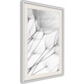 Plakat - Delikatny podmuch