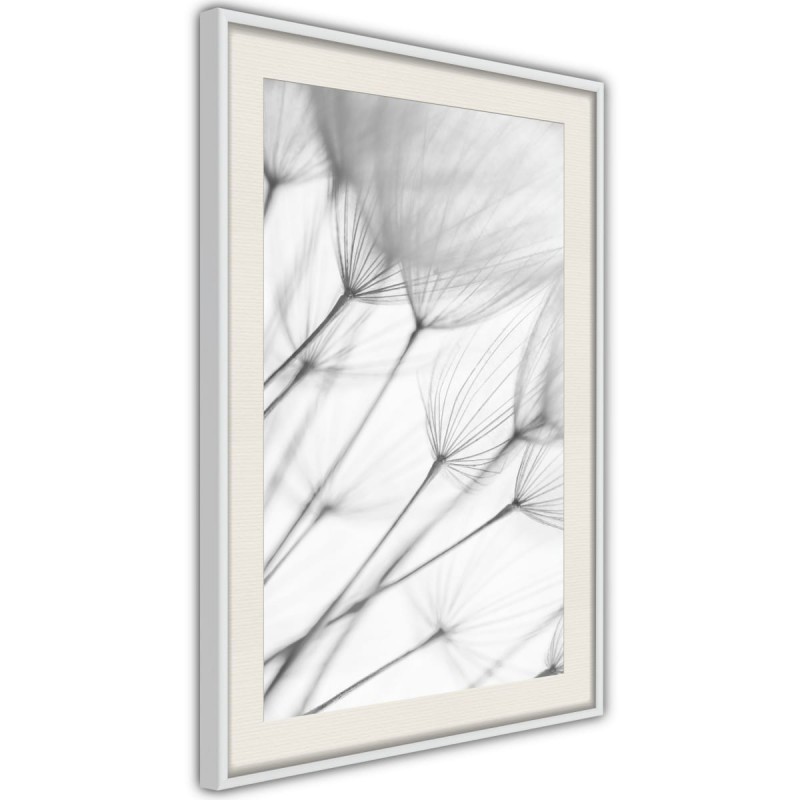Plakat - Delikatny podmuch