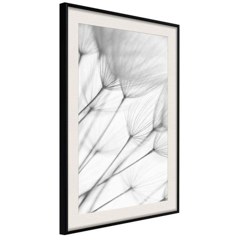 Plakat - Delikatny podmuch