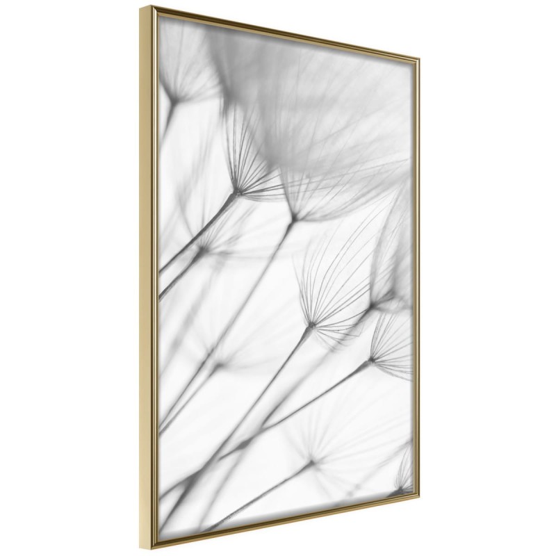 Plakat - Delikatny podmuch