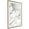 Plakat - Delikatny podmuch