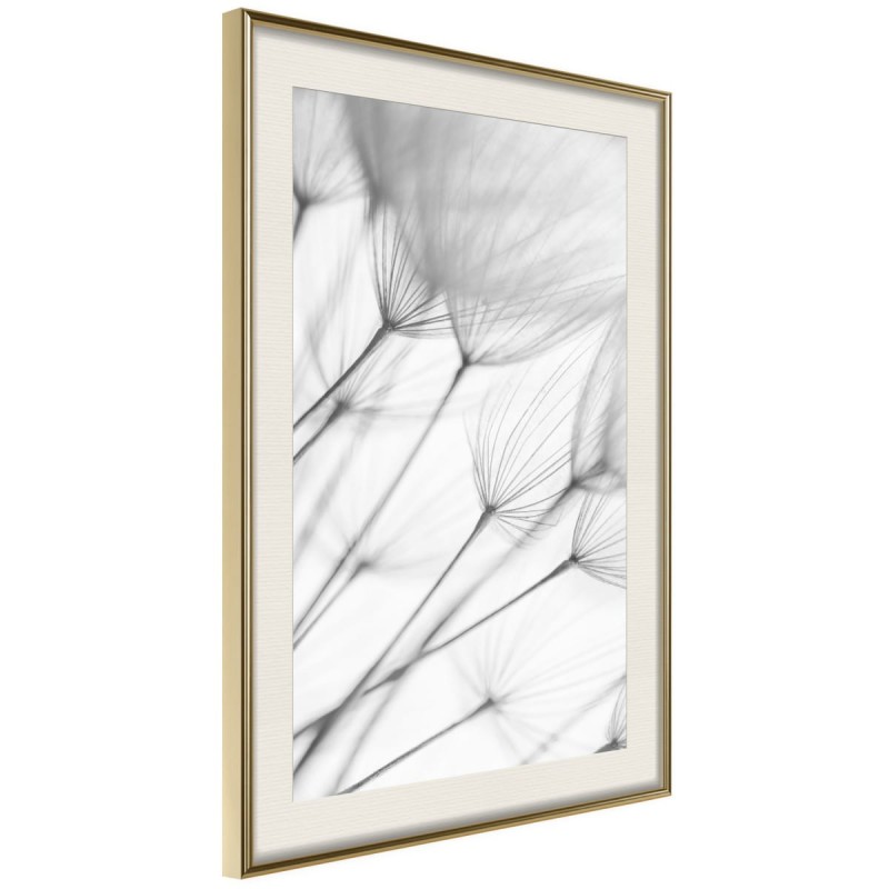 Plakat - Delikatny podmuch