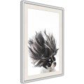 Plakat - Śmieszna chihuahua