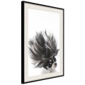 Plakat - Śmieszna chihuahua
