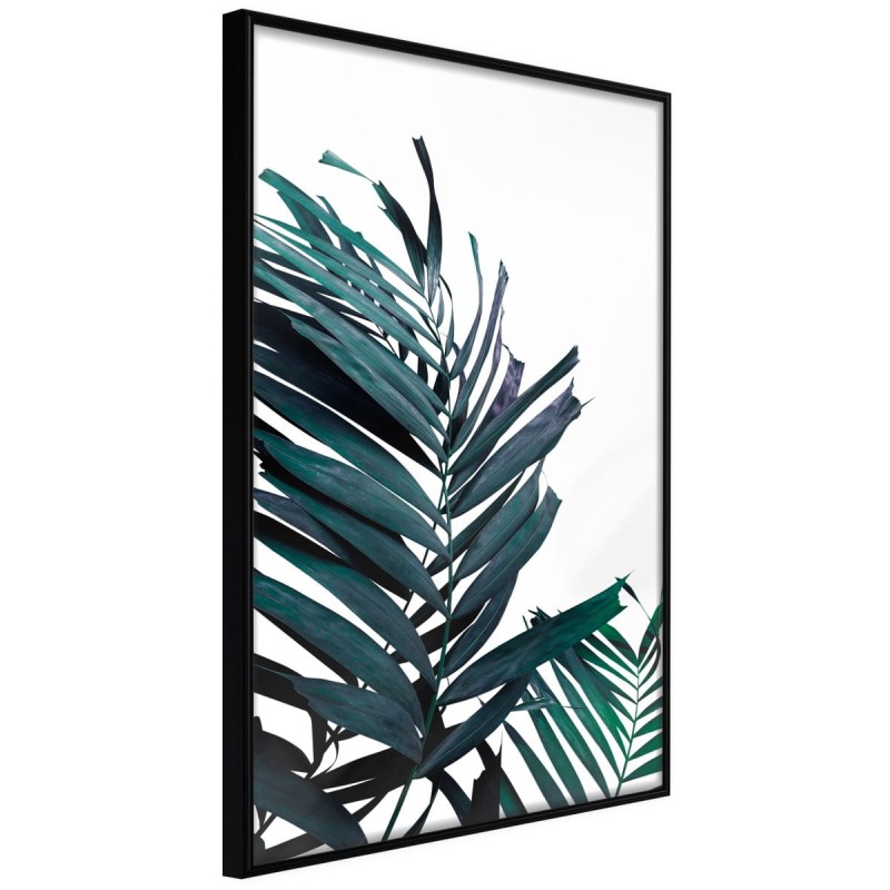 Plakat - Wiecznie zielone liście palmy
