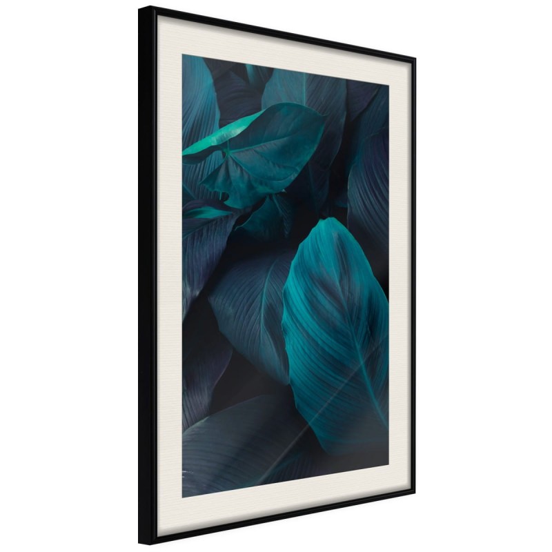 Plakat - Wiecznie zielone liście