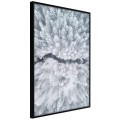Plakat - Zimowy las z lotu ptaka