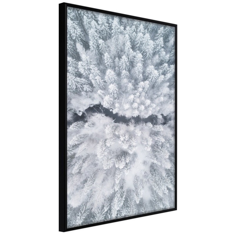 Plakat - Zimowy las z lotu ptaka