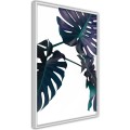 Plakat - Wiecznie zielona monstera