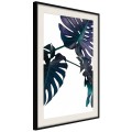 Plakat - Wiecznie zielona monstera
