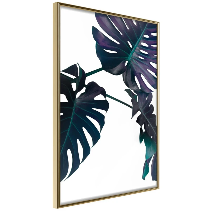 Plakat - Wiecznie zielona monstera