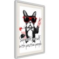 Plakat - Pozytywny buldog