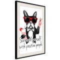 Plakat - Pozytywny buldog