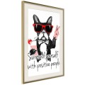 Plakat - Pozytywny buldog