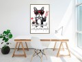 Plakat - Pozytywny buldog