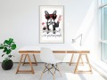 Plakat - Pozytywny buldog