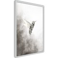 Plakat - Koliber w odcieniach szarości