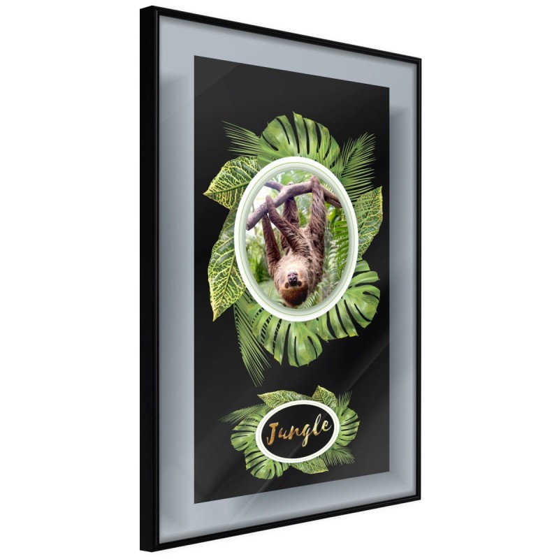 Plakat - Pozdrowienia z dżungli