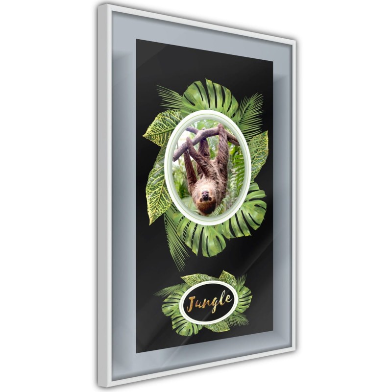 Plakat - Pozdrowienia z dżungli